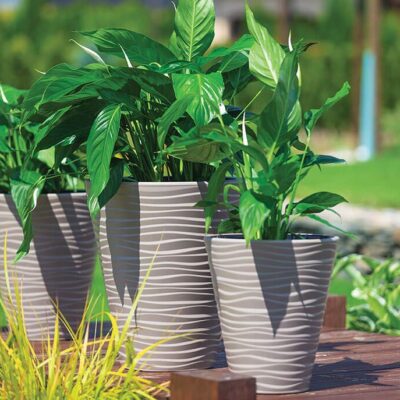 komplet donic sahara