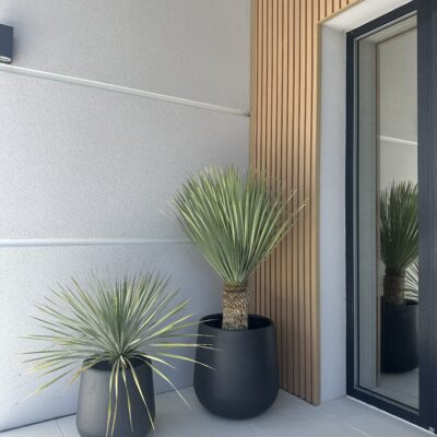 image1 (1)