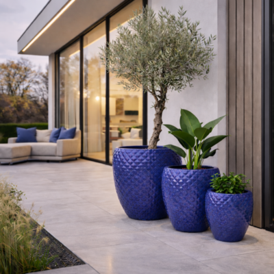 ChatGPT Image 19 lut 2026, 17_50_54