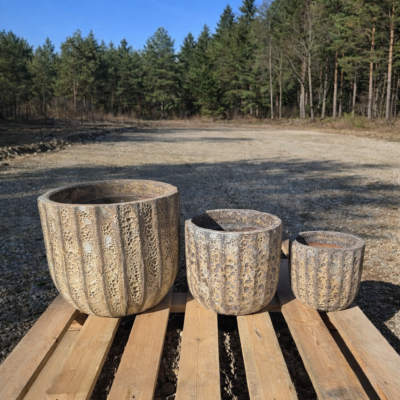 ChatGPT Image 6 mar 2026, 10_21_24