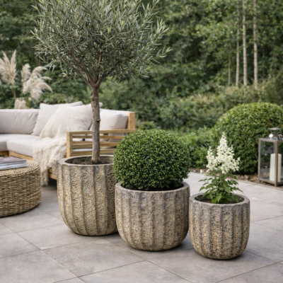 ChatGPT Image 6 mar 2026, 11_19_05