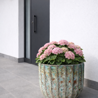 ChatGPT Image 9 mar 2026, 16_25_05