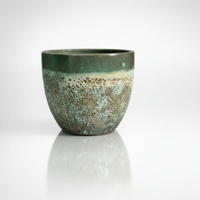 zostaw_tylko_1_doniczk_ma_by_1_Nano_Banana_70385